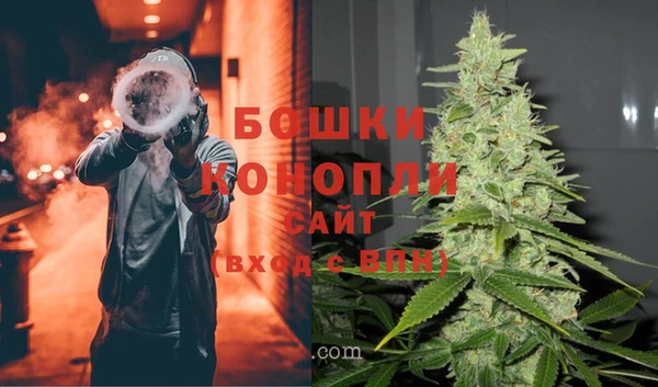 гашик Майский