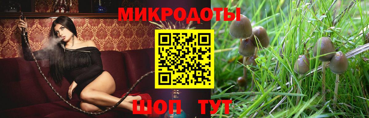 Галлюциногенные грибы Magic Shrooms Миллерово