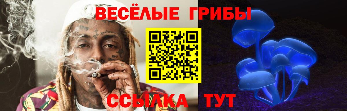 Миллерово  Псилоцибиновые грибы Magic Shrooms  Вход с VPN 